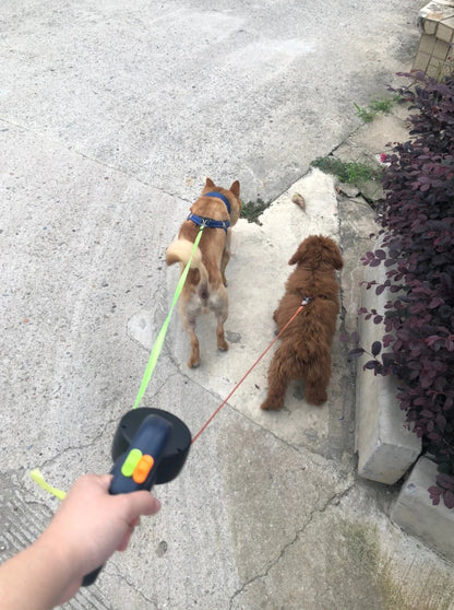 CrossLeash