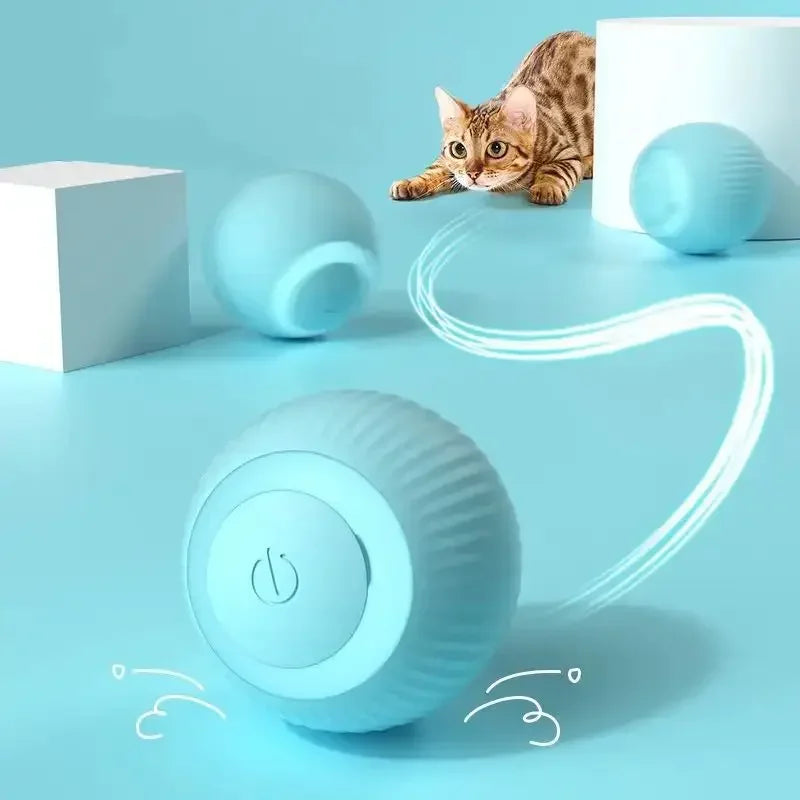 Smart Cat Ball