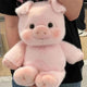 Running Pig