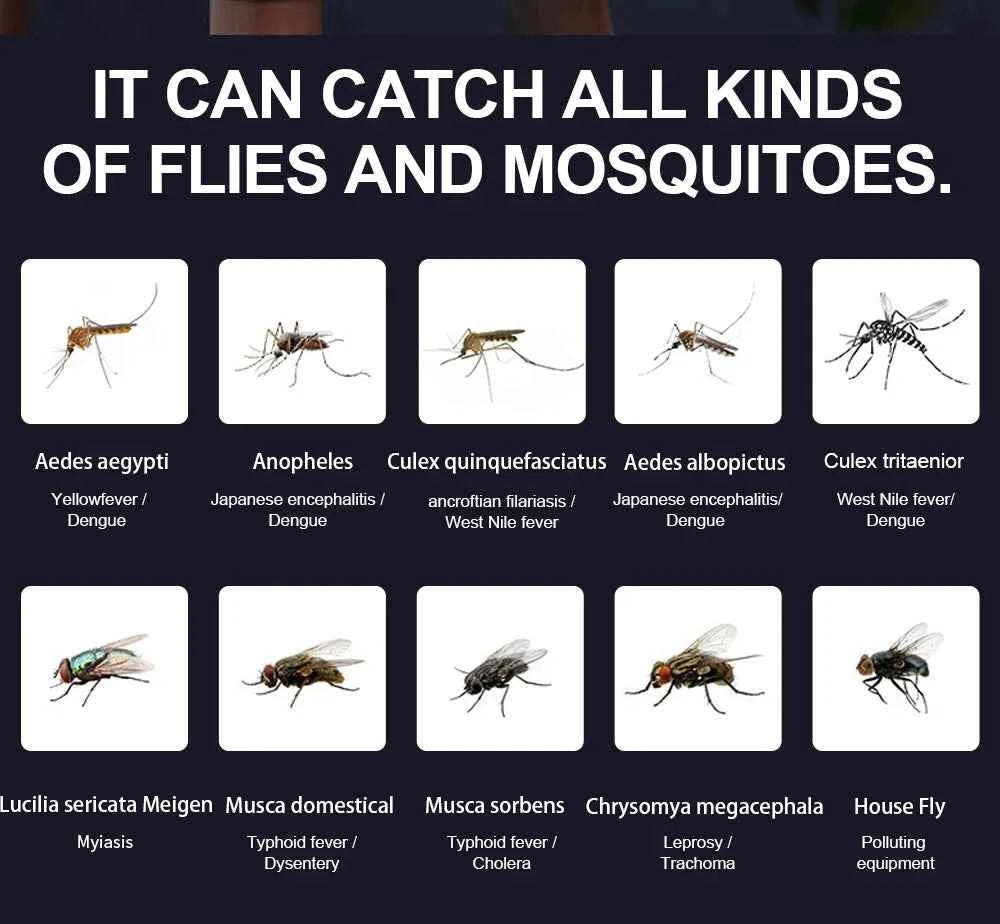 Insects Trap