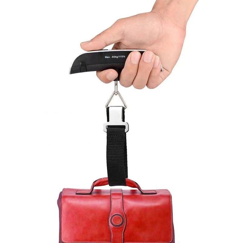 Portable Scale