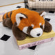 Red Panda