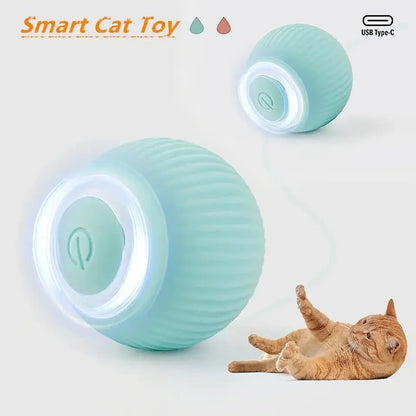 Smart Cat Ball