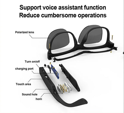 SmartGlasses