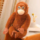 Orangutan