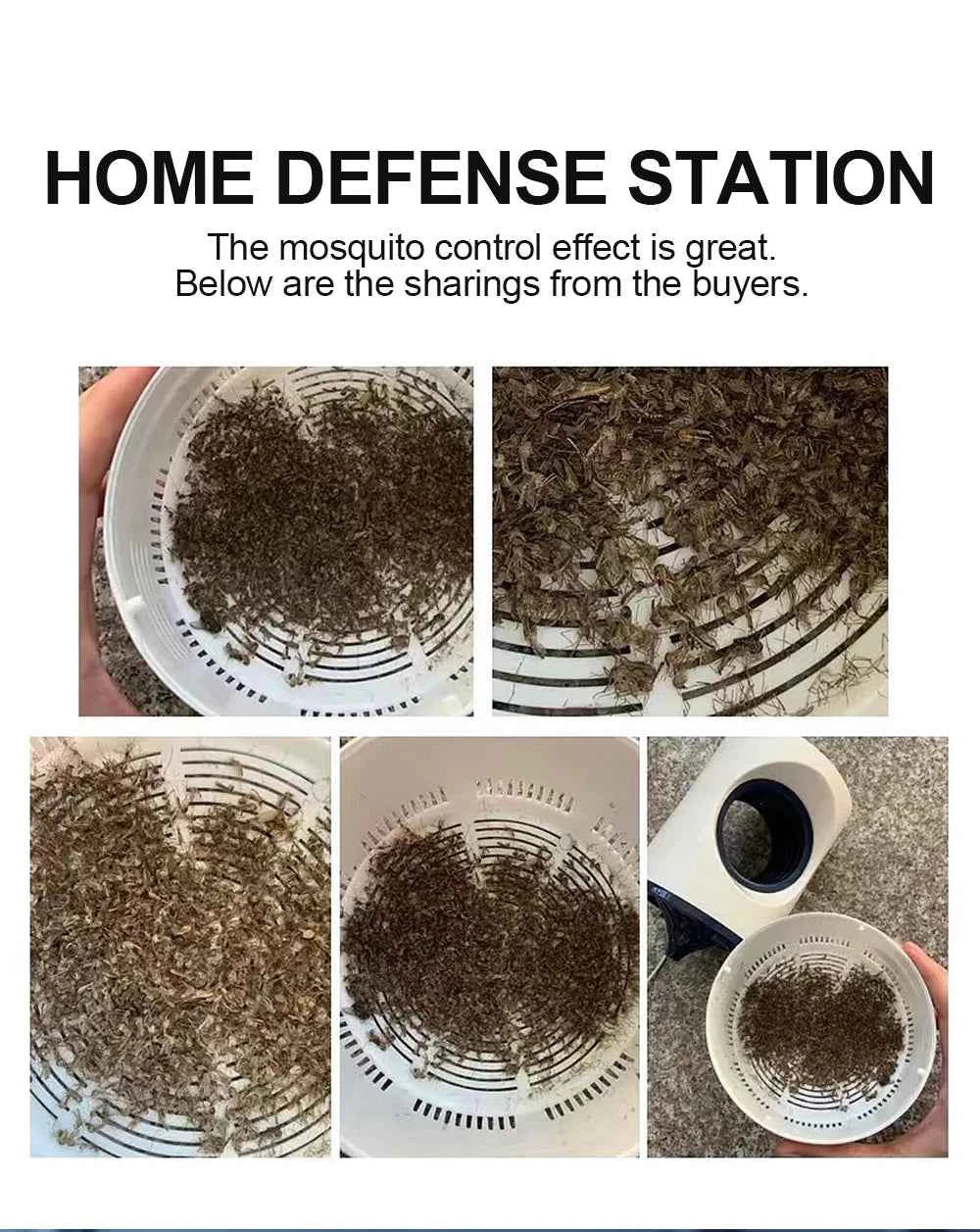 Insects Trap